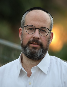 אריאל שטיין