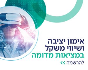 אימון יציבה ושיווקי משקל במציאות מדומה