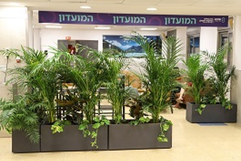 אפשרויות הפנאי בשיקום